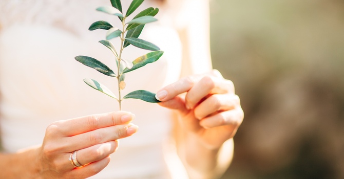 Psychedelic and Ketamine Therapy Integration