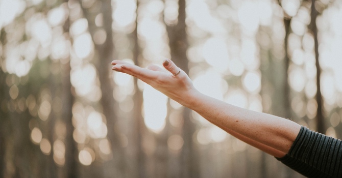 Psychedelic and Ketamine Therapy Integration